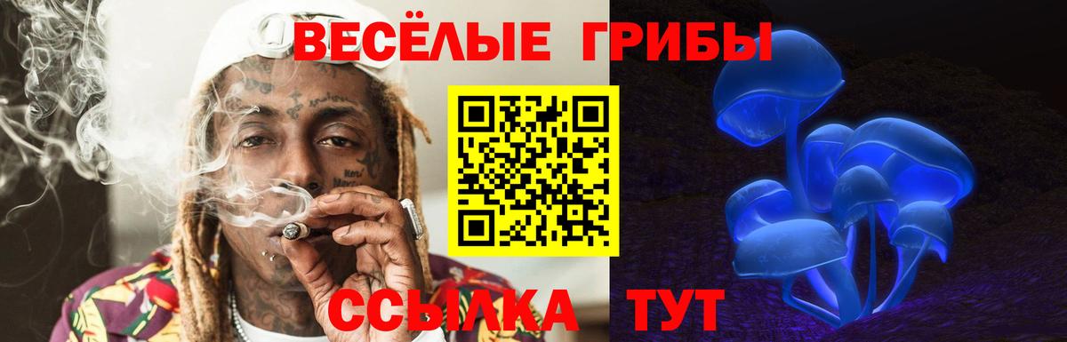 Галлюциногенные грибы GOLDEN TEACHER  Вход с VPN  Бор 